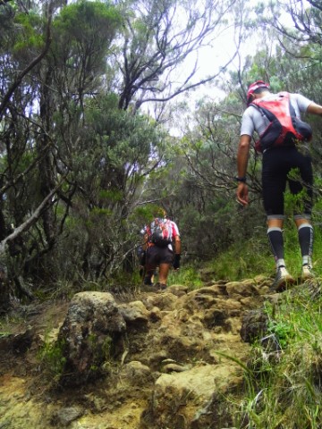 Pfade 8 - Le Grand Raid de la Runion 2013